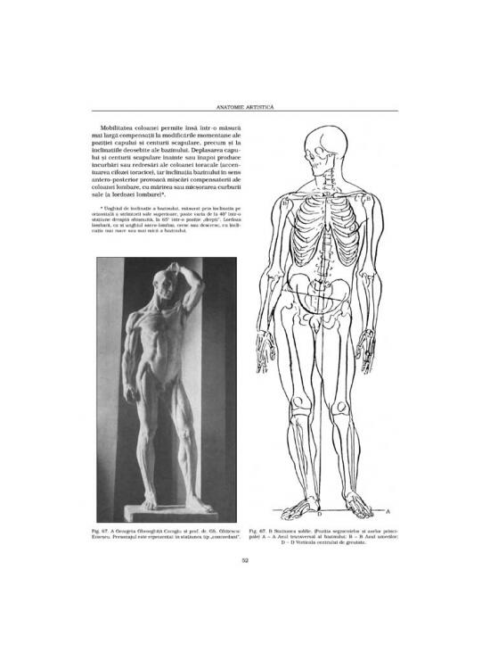 Copertă produs Formele corpului &icirc;n repaus şi mişcare. Anatomie artistică (Vol. 2) - gallery big 8