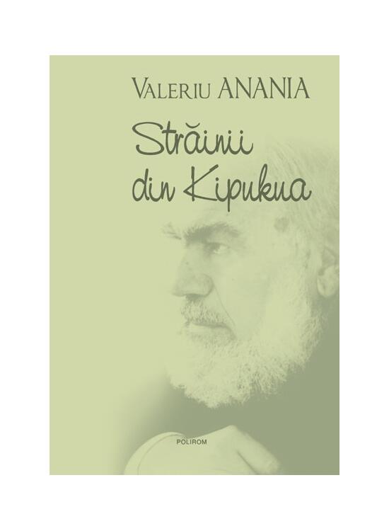 Copertă produs Străinii din Kipukua - gallery big 1