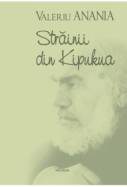 Copertă produs Străinii din Kipukua