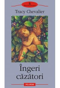 Copertă produs Îngeri căzători