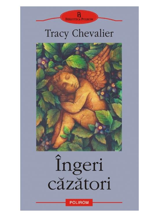 Copertă produs Îngeri căzători - gallery big 1