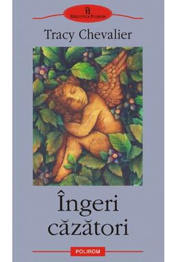 Copertă produs Îngeri căzători