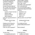 Copertă produs Ghid de conversaţie rom&acirc;n-ceh - gallery small 
