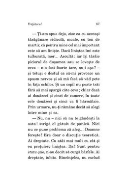 Copertă produs Vrăjitorul