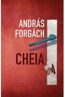 Imagine produs Cheia