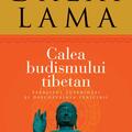 Copertă produs Calea budismului tibetan - gallery small 