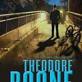 Copertă produs Theodore Boone. Răpirea - gallery small 