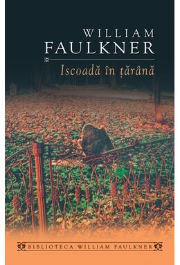 Copertă produs Iscoadă în țărână