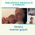 Copertă produs Ghidul mamei grijulii - gallery small 