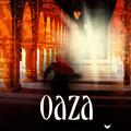 Copertă produs Oaza ascunsă - gallery small 