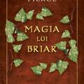 Copertă produs Magia lui Briar. Seria "Cercul de magie" (Vol. 4) - gallery small 