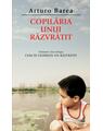 Copertă produs Copilăria unui răzvrătit (Vol. I) - thumb 1