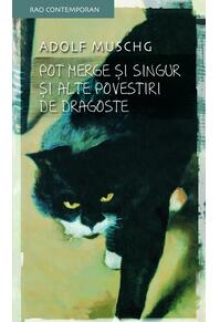 Copertă produs Pot merge şi singur şi alte povestiri de dragoste