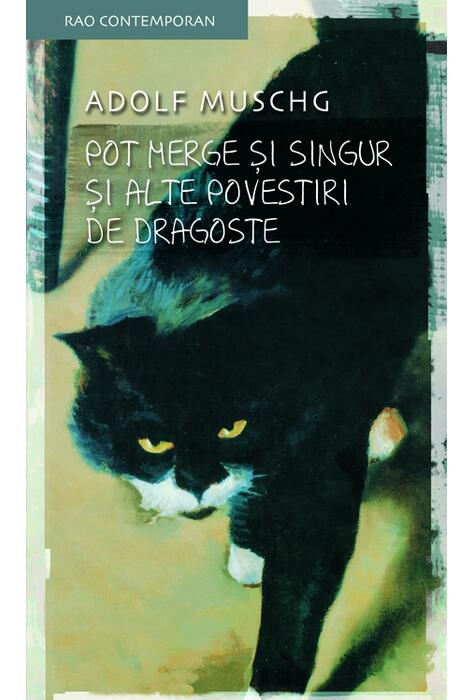 Copertă produs Pot merge şi singur şi alte povestiri de dragoste