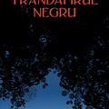 Copertă produs Trandafirul negru - gallery small 