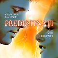 Copertă produs Predestinați (Vol. I) - gallery small 