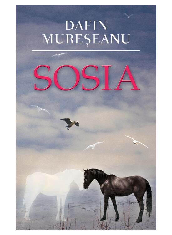 Copertă produs Sosia - gallery big 1