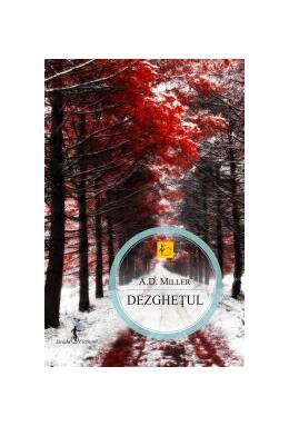 Copertă produs Dezgheţul