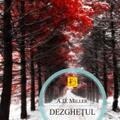 Copertă produs Dezgheţul - gallery small 