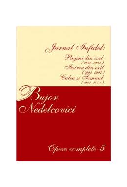 Copertă produs Jurnal infidel