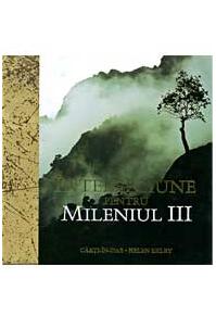 Copertă produs Înţelepciune pentru mileniul III