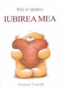 Copertă produs Iubirea mea