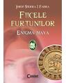 Copertă produs Enigma Maya (Vol. 1) - thumb 1
