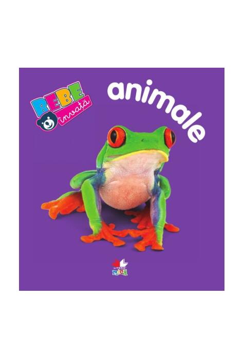 Copertă produs Bebe &icirc;nvaţă. Animalele. V&acirc;rsta 0+