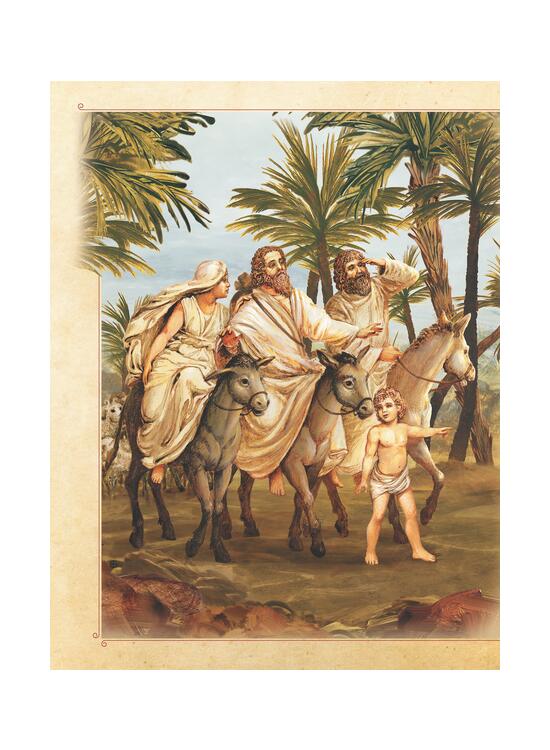 Copertă produs Biblia ilustrată - gallery big 11