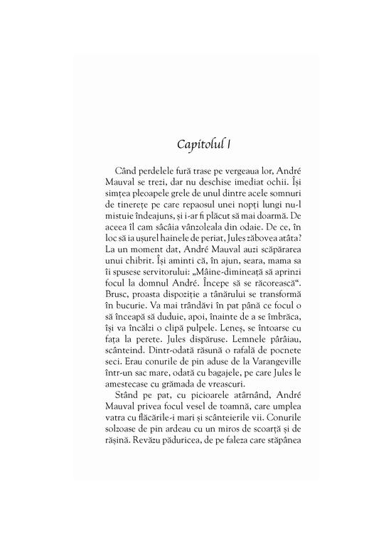 Copertă produs Văpaia - gallery big 2