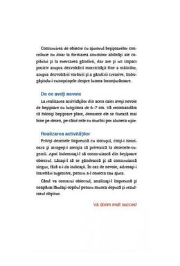 Copertă produs Construcţii cu beţişoare