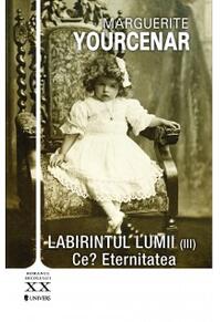 Copertă produs Labirintul lumii. Ce? Eternitatea