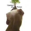 Copertă produs Castelul din Pirinei - gallery small 