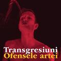 Copertă produs Transgresiuni. Ofensele artei - gallery small 