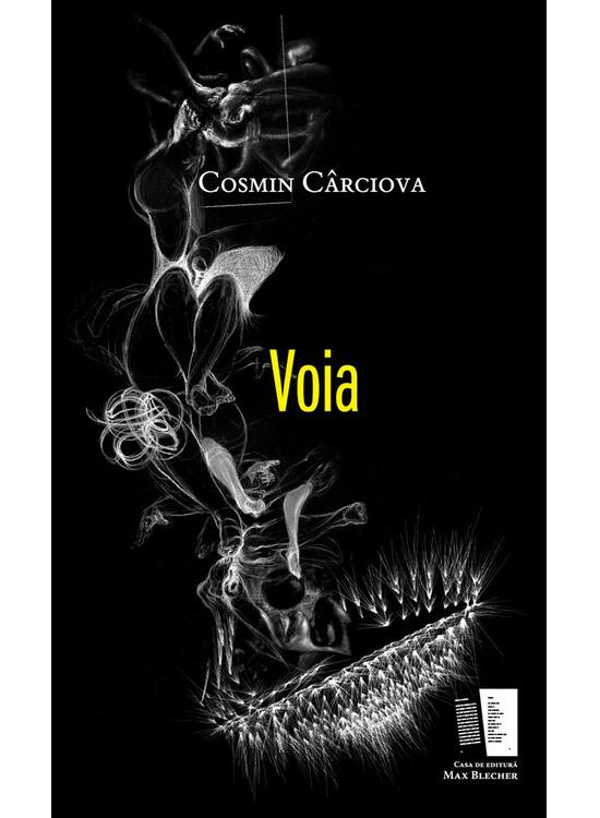 Copertă produs Voia - gallery big 1