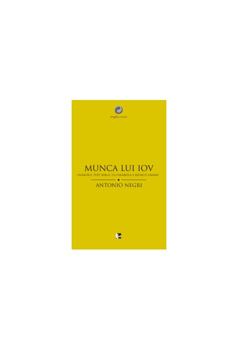 Copertă produs Munca lui Iov. Faimosul text biblic ca parabolă a muncii umane