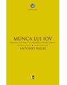 Copertă produs Munca lui Iov. Faimosul text biblic ca parabolă a muncii umane - thumb 1
