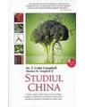 Copertă produs Studiul China - thumb 1