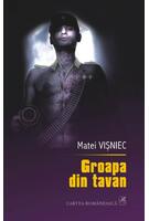 Copertă produs Groapa din tavan