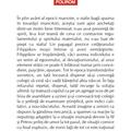 Copertă produs Atitudine nepăsătoare faţă de stomac şi alte povestiri (Top 10+) - gallery small 