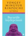Copertă produs Bucuriile &icirc;nţelepciunii - thumb 1
