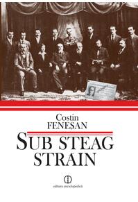 Copertă produs Sub steag străin. Comuniştii şi Partidul Comunist din Rom&acirc;nia &icirc;n arhivele Kominternului (1919&ndash;1924)