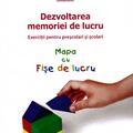 Copertă produs Dezvoltarea memoriei de lucru. Exerciţii pentru preşcolari şi şcolari (Mapa cu Fişe de lucru) - gallery small 