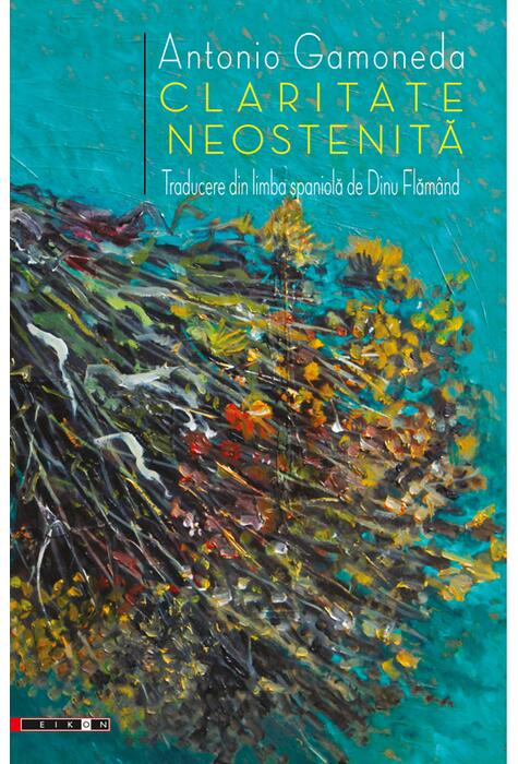 Copertă produs Claritate neostenită