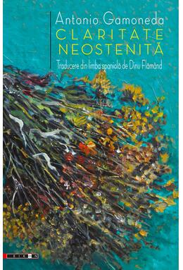 Copertă produs Claritate neostenită