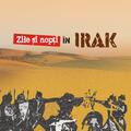 Copertă produs Zile şi nopţi &icirc;n Irak - gallery small 