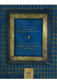 Copertă produs Ce mai răm&acirc;ne din cultura franceză?