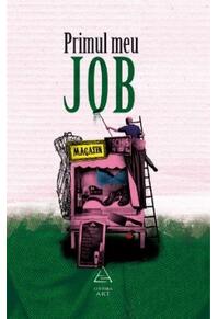 Copertă produs Primul meu job
