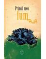 Copertă produs Primul meu fum - thumb 1