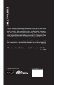 Copertă produs Fata pierdută